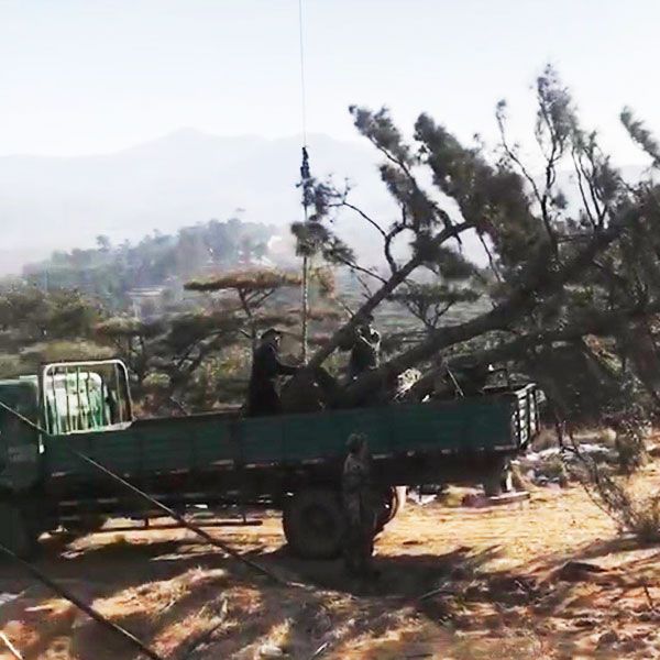 發(fā)貨現(xiàn)場(chǎng)